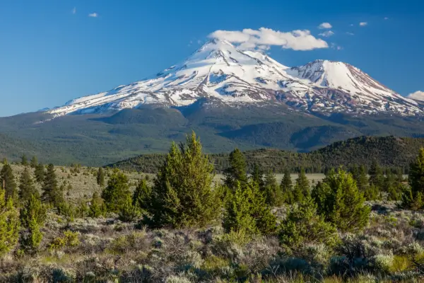 Mount Shasta